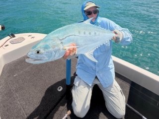 Saltwater Fly Fishing, Queenfish on fly, Rainbow Springs Fly Fishing School