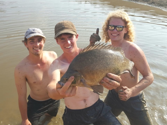 Silver Perch on Fly