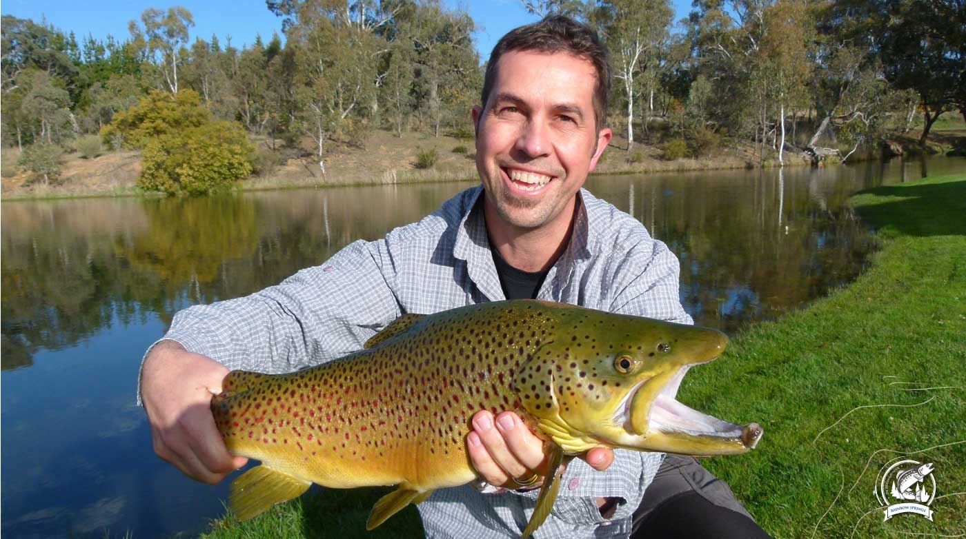 RAINBOW SPRINGS FLY FISHING SCHOOLONE OF AUSTRALIA'S PREMIER FLY FISHING SCHOOLS WITH WORLD CLASS FACILITIES