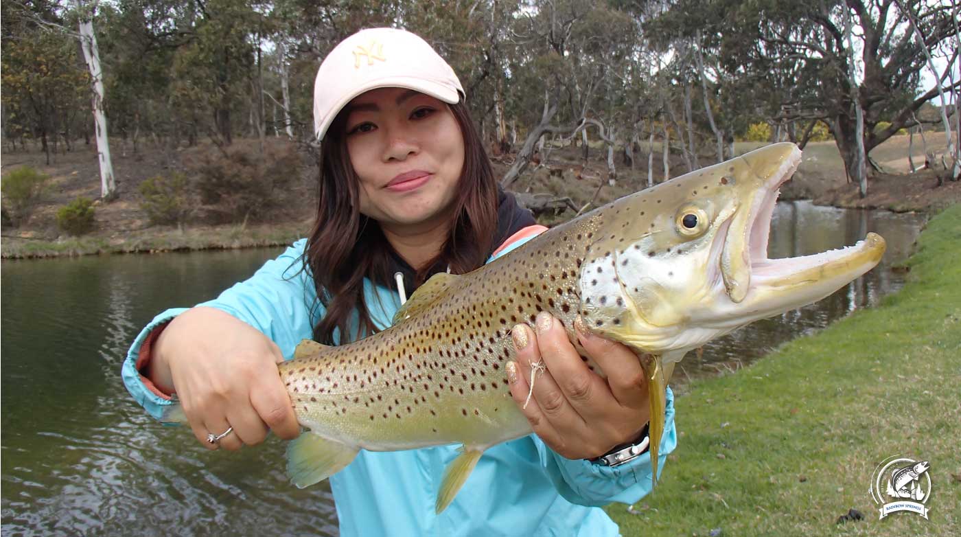 RAINBOW SPRINGS FLY FISHING SCHOOLONE OF AUSTRALIA'S PREMIER FLY FISHING SCHOOLS WITH WORLD CLASS FACILITIES